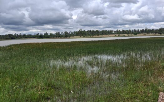 Land for Sale in Zimbabwe